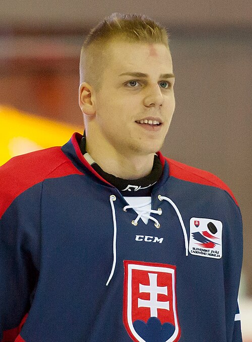 Matej Tomek